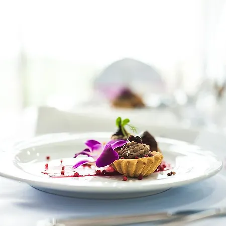 Отель Lidia & Wellness 4*