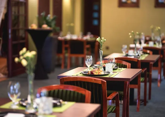 Lidia & Wellness دارووفكو