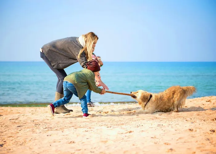 Lidia & Wellness 4* دارووفكو